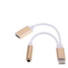 ADAPTADOR USB3.1 TIPO C A JACK 3.5MM+JACK USB